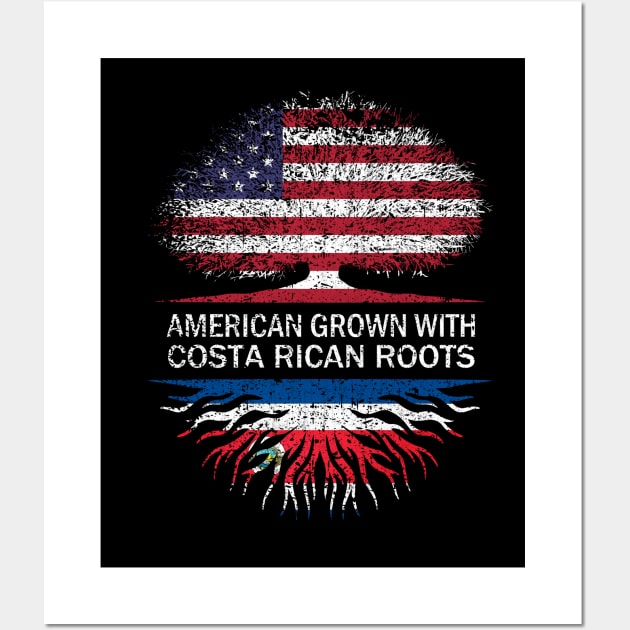 American Grown with Costa Rican Roots USA Flag Wall Art by silvercoin